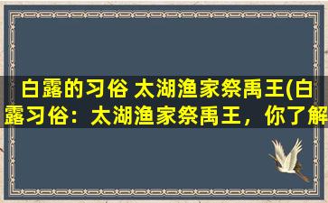 白露的习俗 太湖渔家祭禹王(白露习俗：太湖渔家祭禹王，你了解吗？)